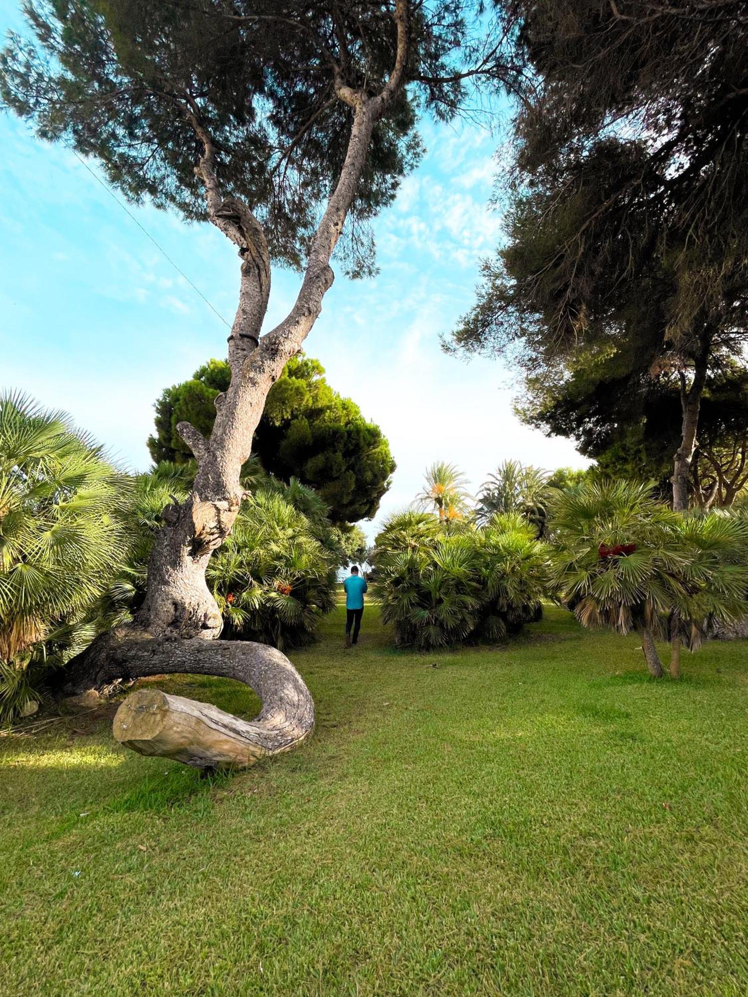 דירות Dehesa de Campoamor  Hola Blanca - Sea, Golf, Chill מראה חיצוני תמונה