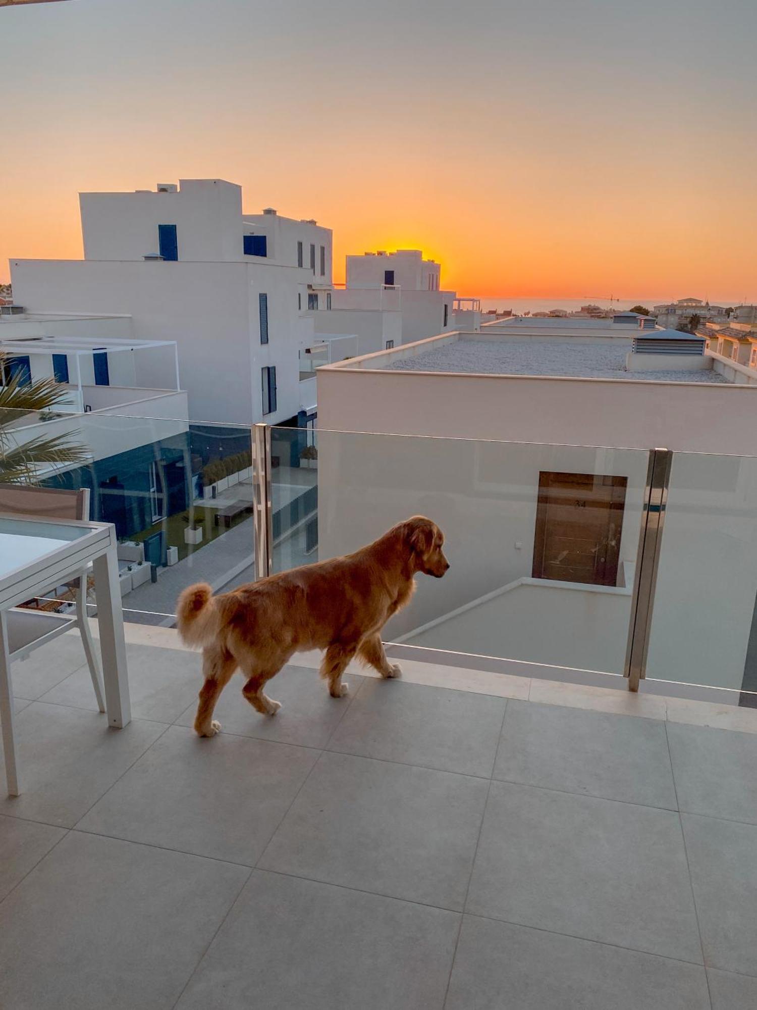 דירות Dehesa de Campoamor  Hola Blanca - Sea, Golf, Chill מראה חיצוני תמונה